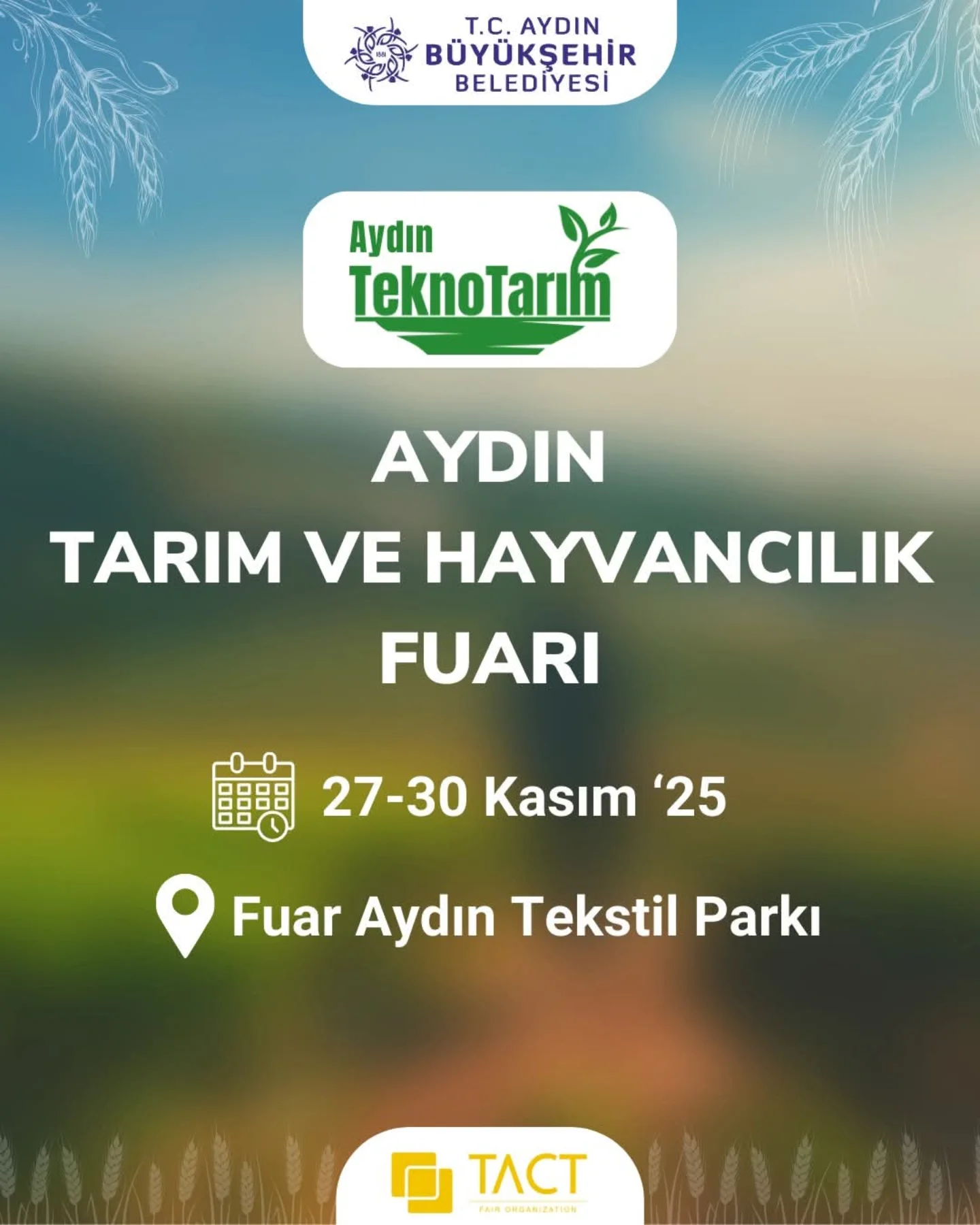 Colorfest afişi