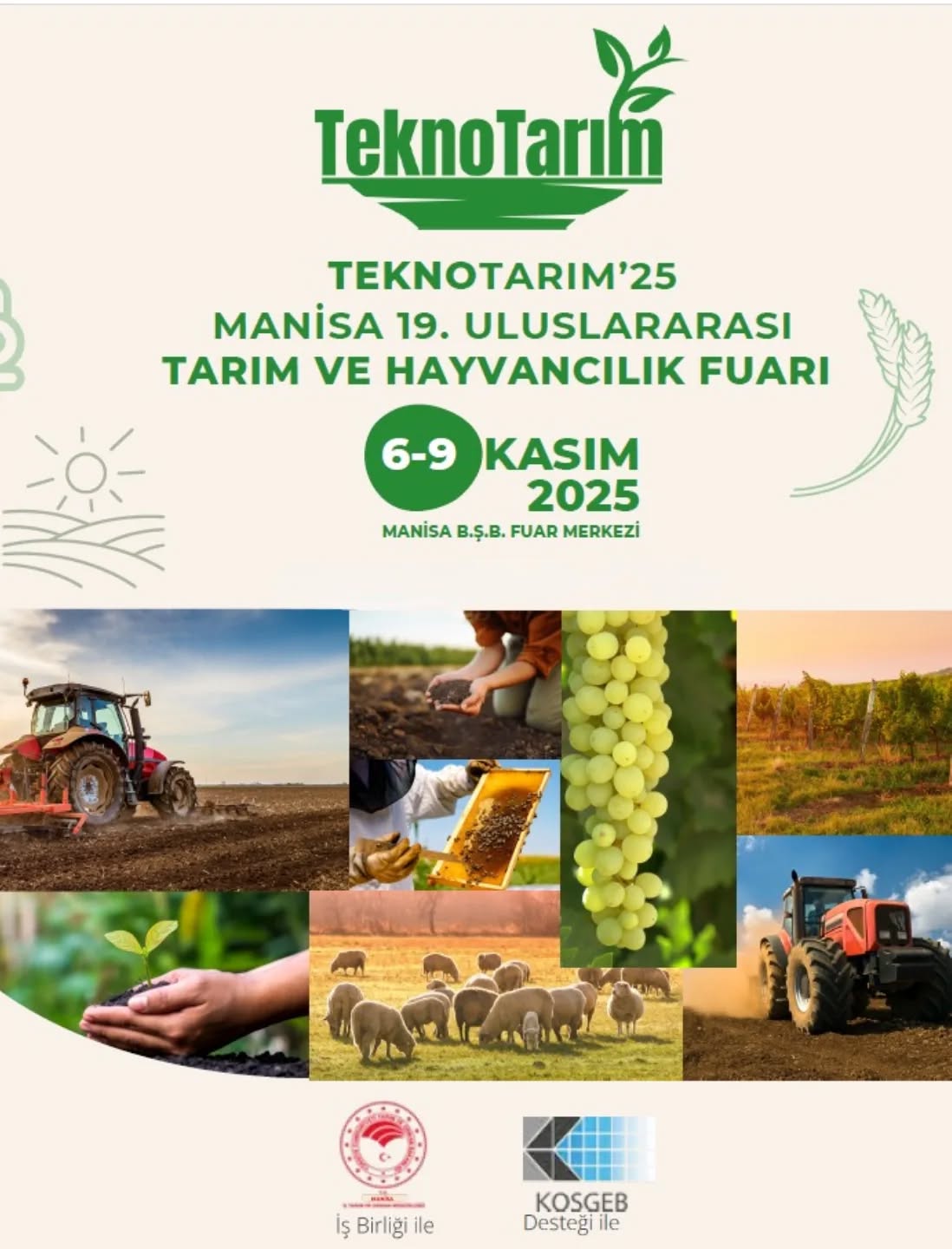 Colorfest afişi