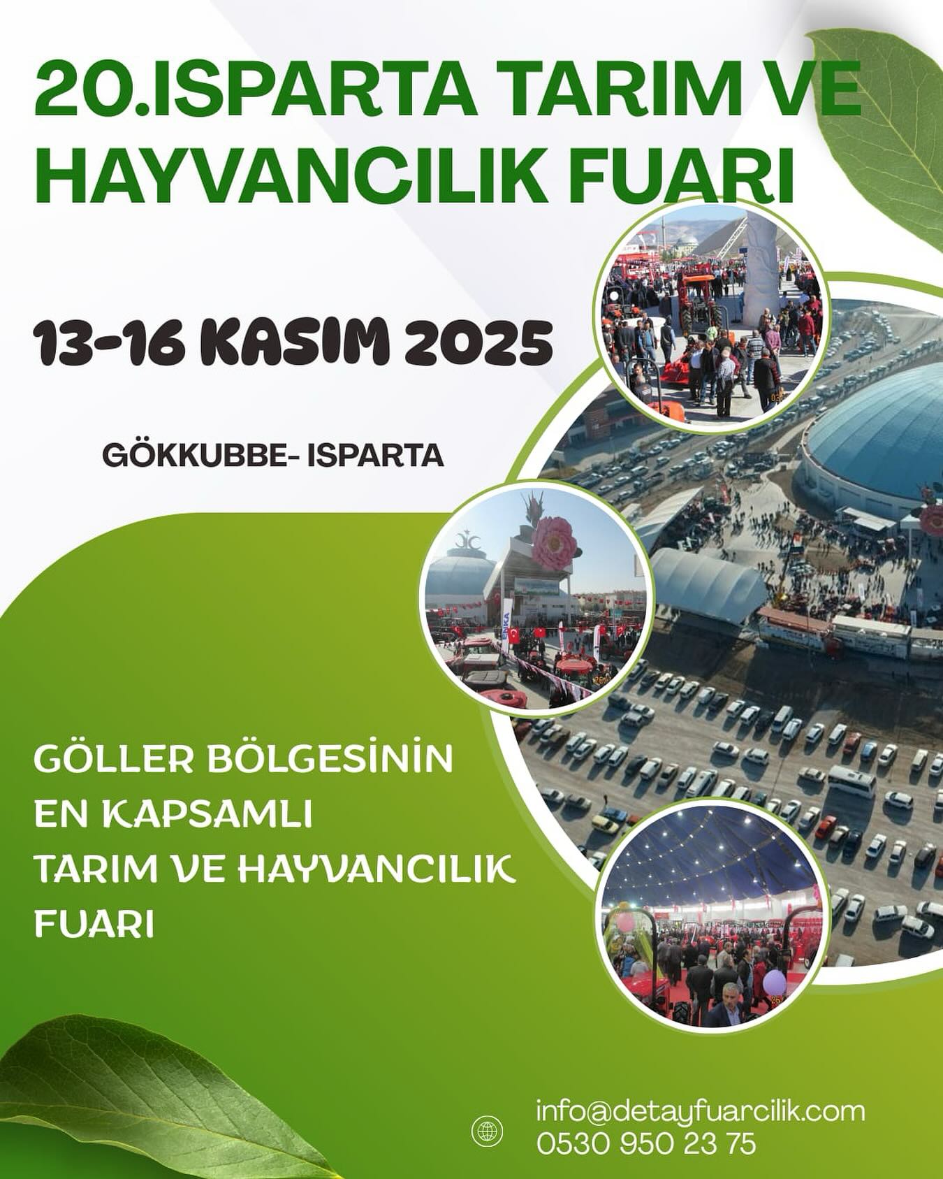 Colorfest afişi