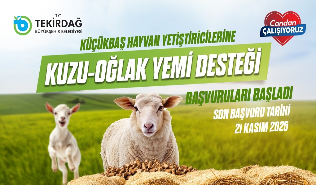 Küçükbaş Hayvan Yetiştiricilerine Kuzu-Oğlak Yem Desteği Başvuruları Başladı